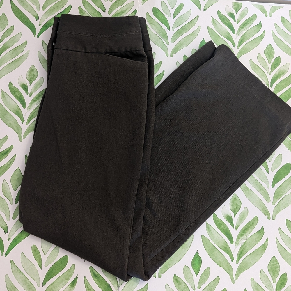 Express Editor Wide Leg Dress Pants